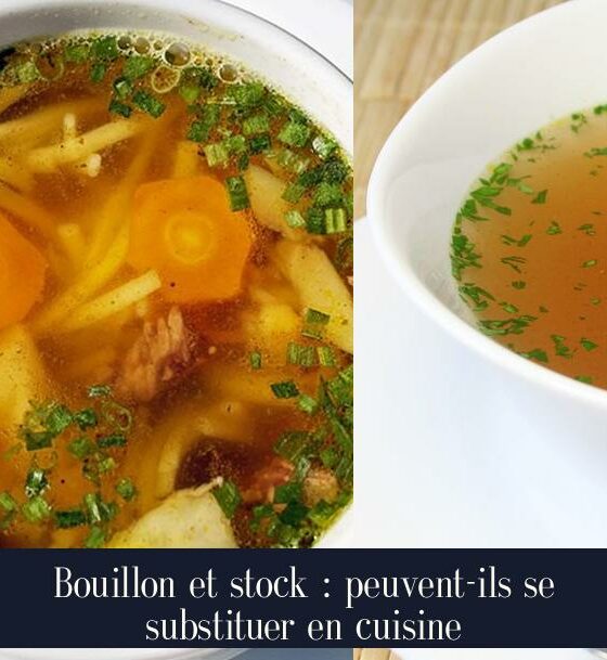 Bouillon et stock : peuvent-ils se substituer en cuisine