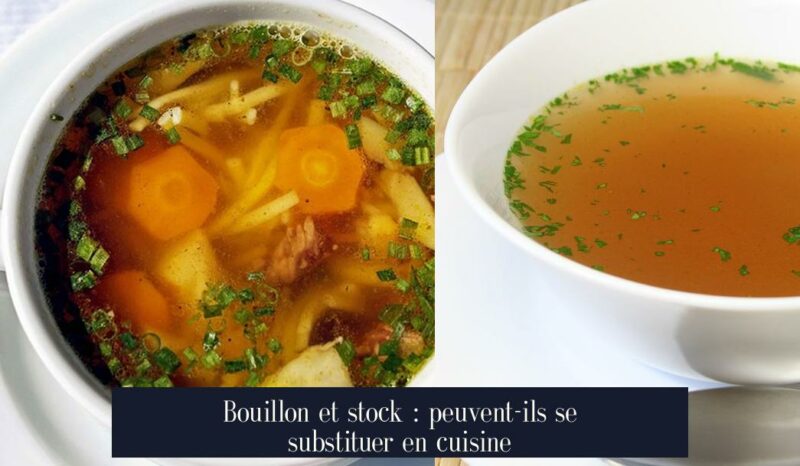 Bouillon et stock : peuvent-ils se substituer en cuisine