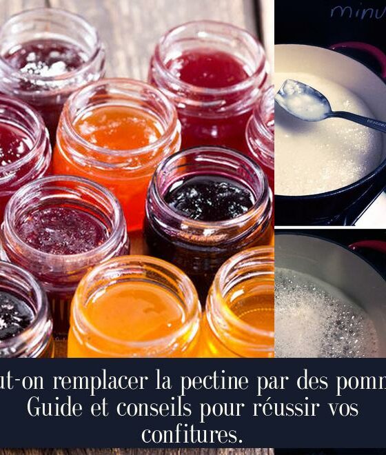 Peut-on remplacer la pectine par des pommes Guide et conseils pour réussir vos confitures.