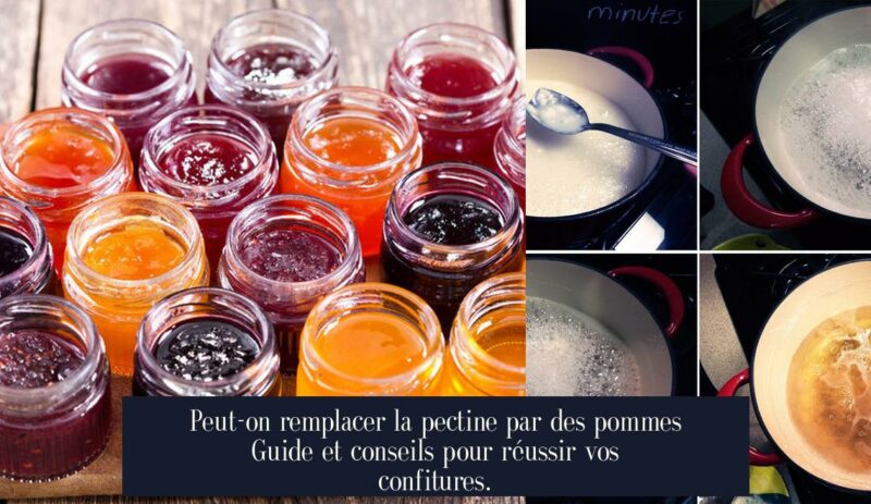 Peut-on remplacer la pectine par des pommes Guide et conseils pour réussir vos confitures.