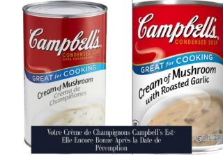 Votre Crème de Champignons Campbell's Est-Elle Encore Bonne Après la Date de Péremption