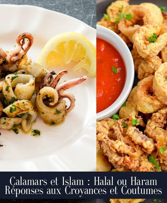 Calamars et Islam : Halal ou Haram Réponses aux Croyances et Coutumes