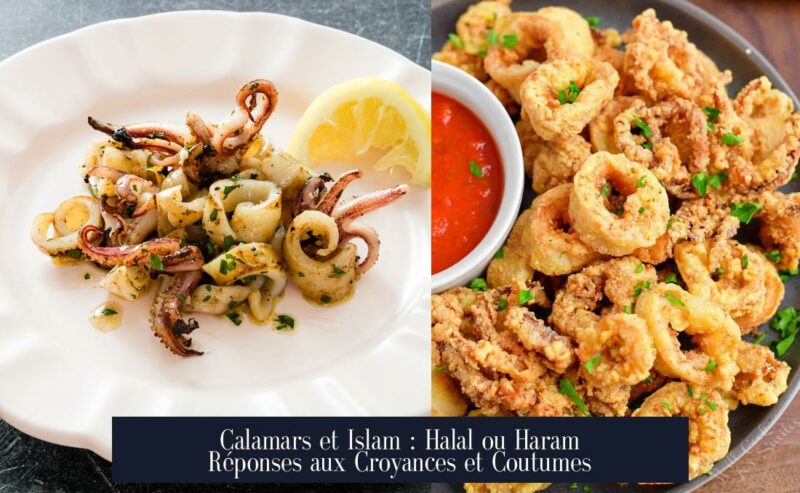 Calamars et Islam : Halal ou Haram Réponses aux Croyances et Coutumes