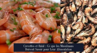 Crevettes et Halal : Ce que les Musulmans Doivent Savoir pour Leur Alimentation