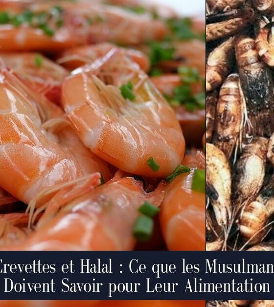 Crevettes et Halal : Ce que les Musulmans Doivent Savoir pour Leur Alimentation