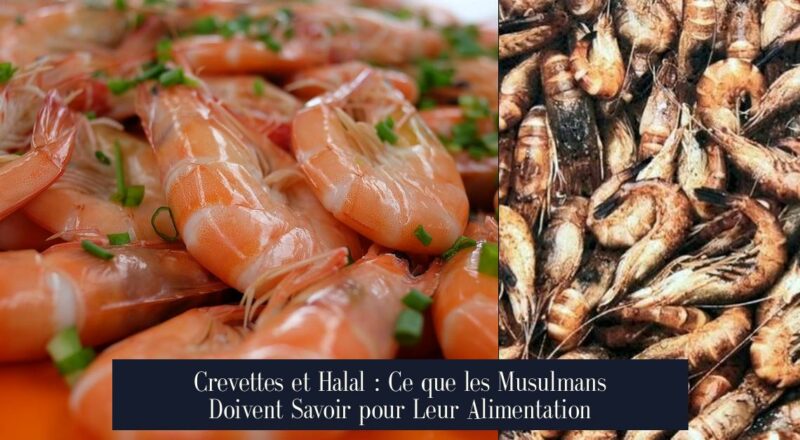 Crevettes et Halal : Ce que les Musulmans Doivent Savoir pour Leur Alimentation