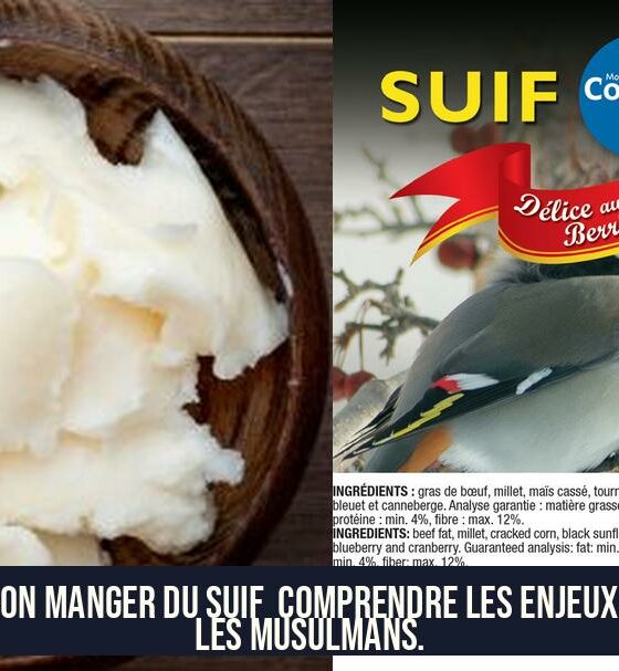Peut-on manger du suif Comprendre les enjeux pour les musulmans.