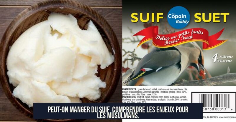 Peut-on manger du suif Comprendre les enjeux pour les musulmans.