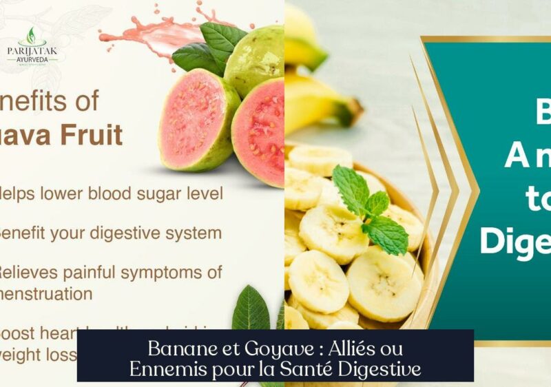 Banane et Goyave : Alliés ou Ennemis pour la Santé Digestive