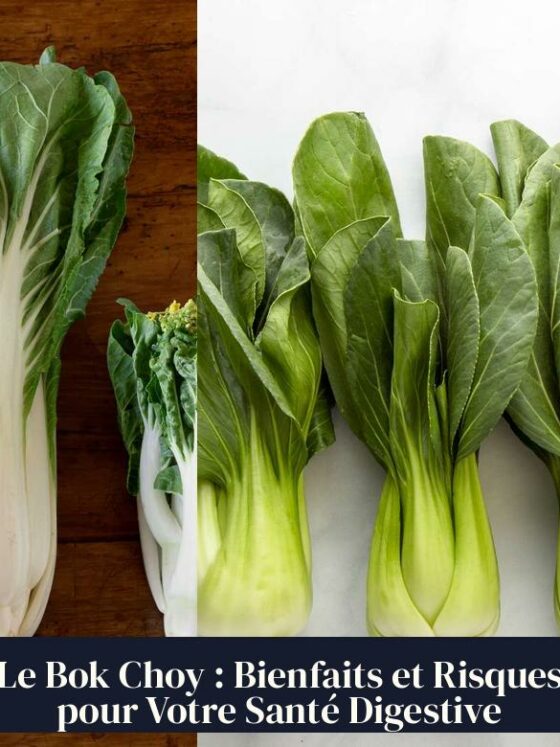 Le Bok Choy : Bienfaits et Risques pour Votre Santé Digestive