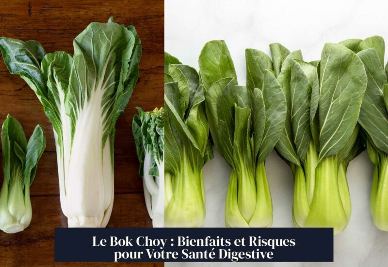 Le Bok Choy : Bienfaits et Risques pour Votre Santé Digestive