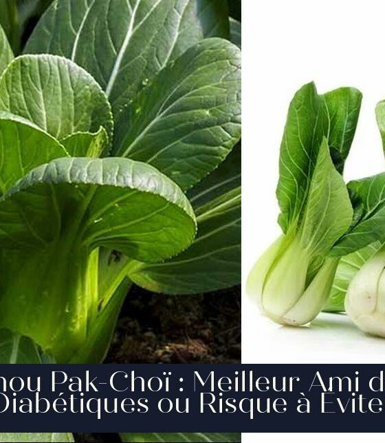 Chou Pak-Choï : Meilleur Ami des Diabétiques ou Risque à Éviter