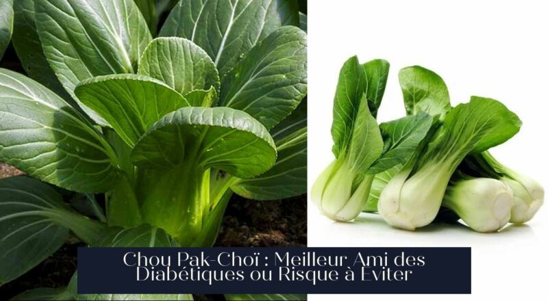 Chou Pak-Choï : Meilleur Ami des Diabétiques ou Risque à Éviter