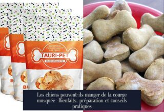Les chiens peuvent-ils manger de la courge musquée Bienfaits, préparation et conseils pratiques