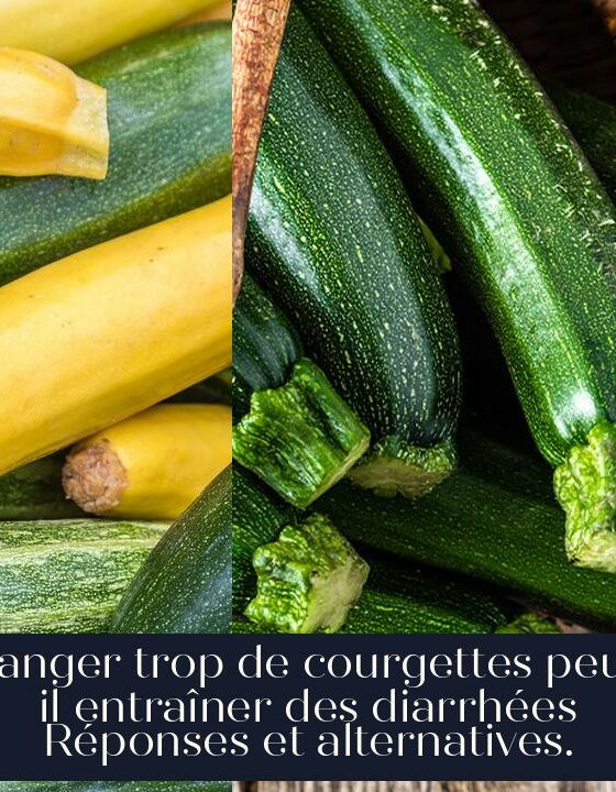 Manger trop de courgettes peut-il entraîner des diarrhées Réponses et alternatives.