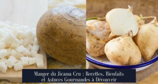 Manger du Jicama Cru : Recettes, Bienfaits et Astuces Gourmandes à Découvrir