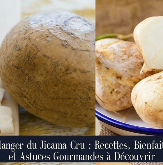 Manger du Jicama Cru : Recettes, Bienfaits et Astuces Gourmandes à Découvrir