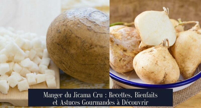 Manger du Jicama Cru : Recettes, Bienfaits et Astuces Gourmandes à Découvrir