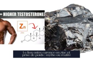 Le lien entre carence en zinc et prise de poids : mythe ou réalité