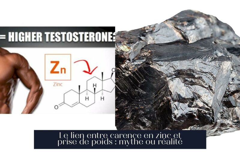 Le lien entre carence en zinc et prise de poids : mythe ou réalité