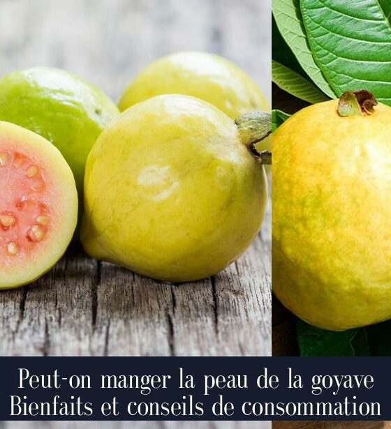 Peut-on manger la peau de la goyave Bienfaits et conseils de consommation