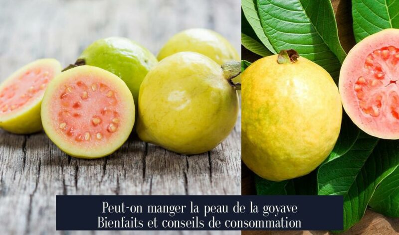 Peut-on manger la peau de la goyave Bienfaits et conseils de consommation