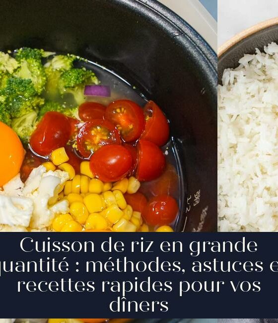 Cuisson de riz en grande quantité : méthodes, astuces et recettes rapides pour vos dîners