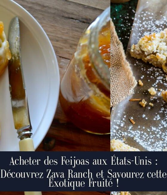 Acheter des Feijoas aux États-Unis : Découvrez Zava Ranch et Savourez cette Exotique Fruité !