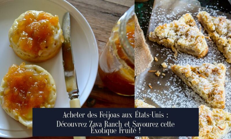 Acheter des Feijoas aux États-Unis : Découvrez Zava Ranch et Savourez cette Exotique Fruité !