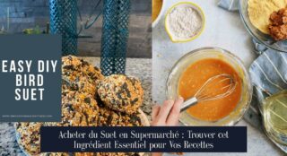 Acheter du Suet en Supermarché : Trouver cet Ingrédient Essentiel pour Vos Recettes