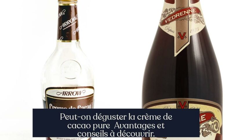 Peut-on déguster la crème de cacao pure Avantages et conseils à découvrir.