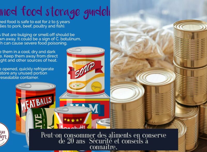 Peut-on consommer des aliments en conserve de 20 ans Sécurité et conseils à connaître.