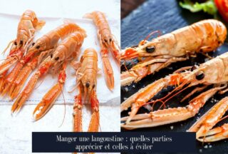Manger une langoustine : quelles parties apprécier et celles à éviter