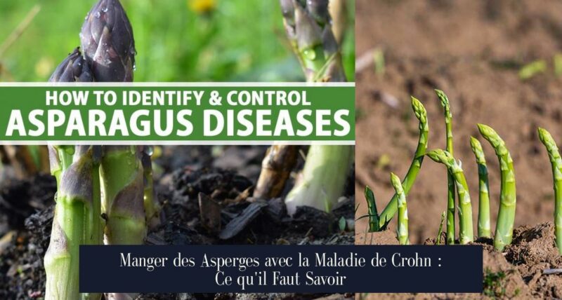 Manger des Asperges avec la Maladie de Crohn : Ce qu'il Faut Savoir