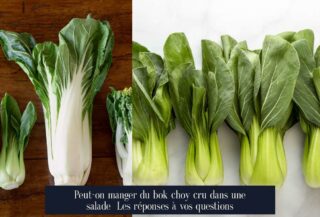 Peut-on manger du bok choy cru dans une salade Les réponses à vos questions