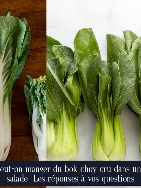 Peut-on manger du bok choy cru dans une salade Les réponses à vos questions