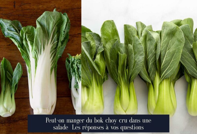 Peut-on manger du bok choy cru dans une salade Les réponses à vos questions