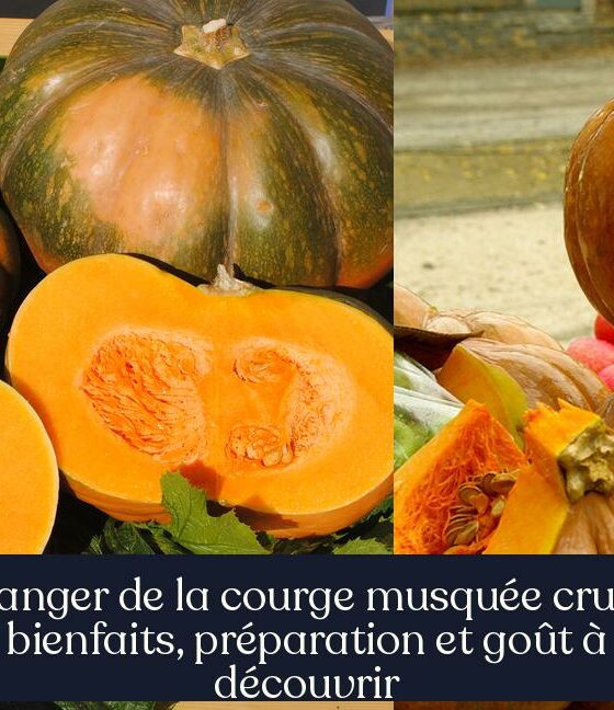 Manger de la courge musquée crue : bienfaits, préparation et goût à découvrir