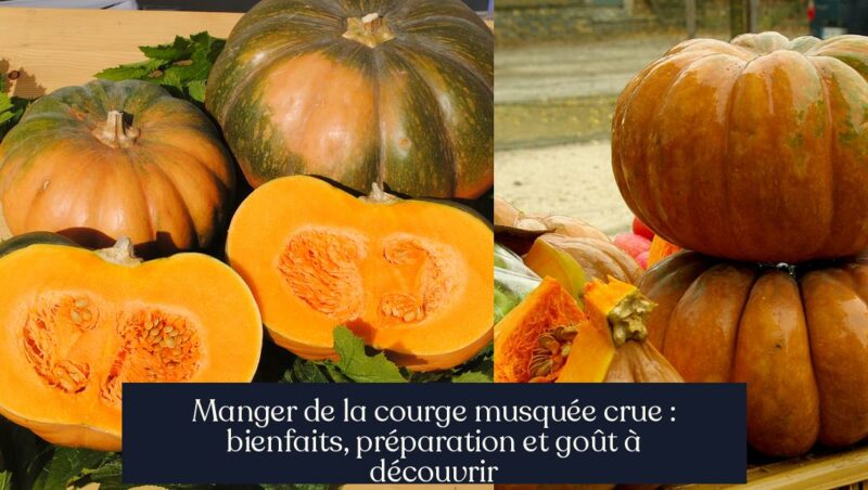 Manger de la courge musquée crue : bienfaits, préparation et goût à découvrir