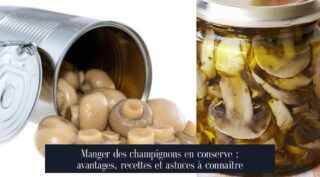 Manger des champignons en conserve : avantages, recettes et astuces à connaître