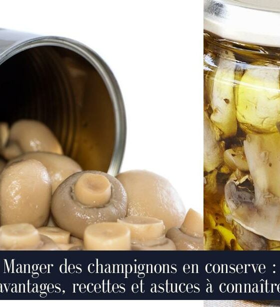 Manger des champignons en conserve : avantages, recettes et astuces à connaître