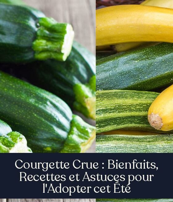 Courgette Crue : Bienfaits, Recettes et Astuces pour l'Adopter cet Été