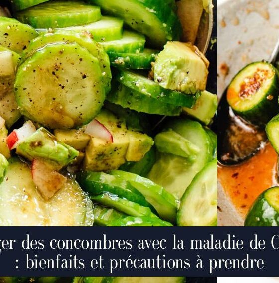 Manger des concombres avec la maladie de Crohn : bienfaits et précautions à prendre