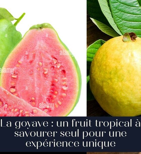 La goyave : un fruit tropical à savourer seul pour une expérience unique