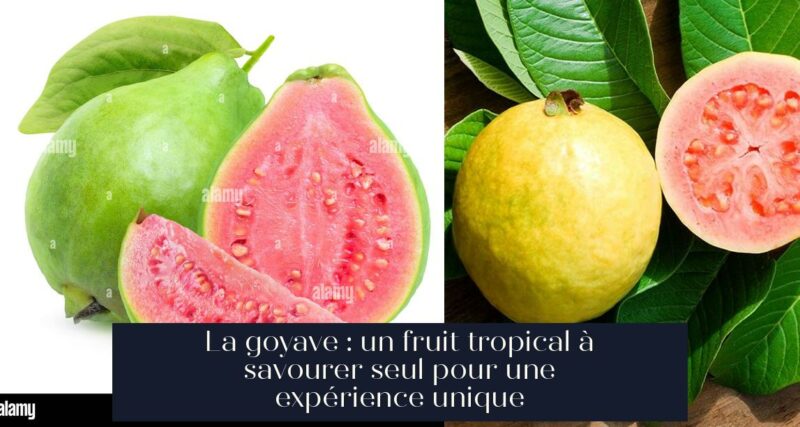 La goyave : un fruit tropical à savourer seul pour une expérience unique