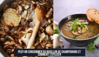 Peut-on consommer du bouillon de champignons et comment l'utiliser