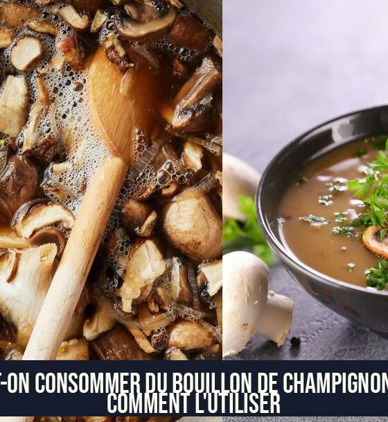 Peut-on consommer du bouillon de champignons et comment l'utiliser