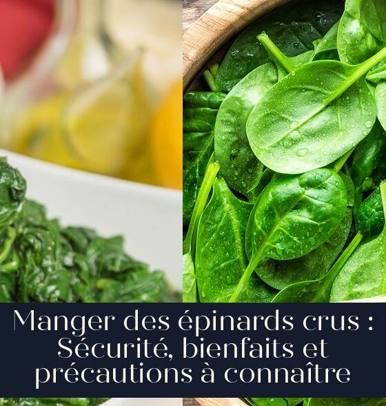 Manger des épinards crus : Sécurité, bienfaits et précautions à connaître