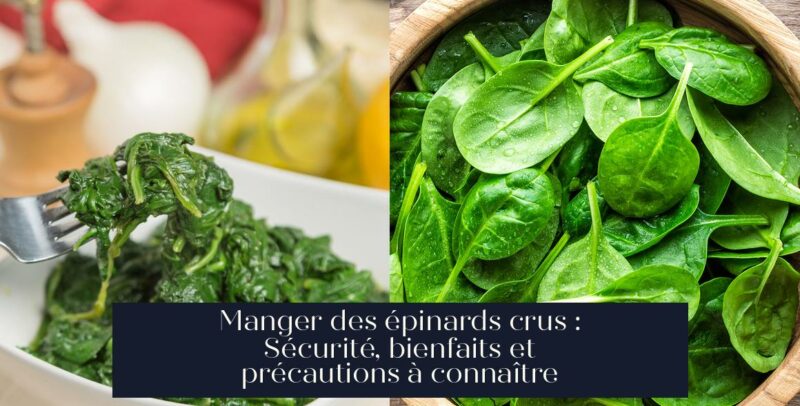 Manger des épinards crus : Sécurité, bienfaits et précautions à connaître