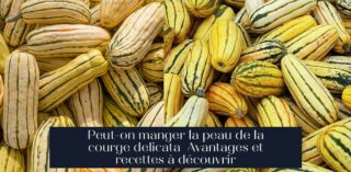 Peut-on manger la peau de la courge delicata Avantages et recettes à découvrir